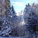 Winterfreuden