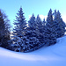 Unverspurte Winterfreuden
