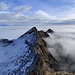 la cresta verso il Cimone di Cortechiuso