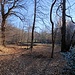 Pianeggi