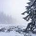 Im anschliessenden Sattel schimmert über mir zartes Blau und Gelb durch den Nebel. Aber es reisst nicht auf, sondern wird nur Sekunden danach wieder neutralgrau.