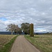 Kurz Sonne, bevor die Abfahrt mit 65 Km/h zum Lindenhof und nach Mühlhausen führt.
