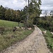 Ziegen am Sennhof.
