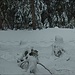 le impronte durante la salita