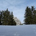 Unvermittelt steht man nach dem Aufstieg durch den Wald plötzlich im tiefverschneiten Gelände und sieht den Kaiserschild.