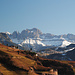 Rosengarten