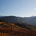 Wein und Berg