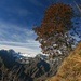 Blick zu den Belluneser Dolomiten