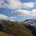 Lochner Horn