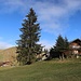 vorbei an der Rettenbach Alm