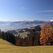 sanft geht es hinab mit besten Ausblicken