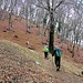Prima di scendere verso il Rifugio Terza Alpe, ci siamo diretti dalla parte opposta per raggiungere il grande Faggio del Fo’, un vero e proprio patriarca del bosco. Questa volta abbiamo potuto notare sul suo tronco la presenza di funghi lignicoli, che non sono un bel segno per la salute della pianta.