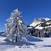 ... zum wunderschön winterlichen ...