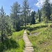 Steg zwischen Grünsee und Österreichischer und Italienischer Grenze