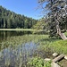 Grünsee