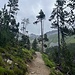 Im Val da Stabelchod