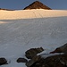 Bis auf ca. 3650m konnten wir über die Firnflanke aufsteigen, bevor es dann auf den Südgrat in die Felsen ging