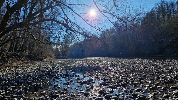 An der Aare auf dem Weg nach Reichenbach.