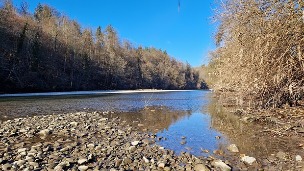 Wenig Wassser, führt die Aare im Moment.