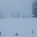 hier kommt der Wanderweg von der Lochhütte runter