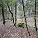 Sentiero 7 per Rifugio SEC Consigliere