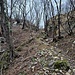 Sentiero 7 per Rifugio SEC Consigliere