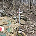 Sentiero 7 per Rifugio SEC Consigliere