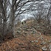 Salita al Monte Prasanto