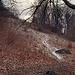 spolverata di neve
