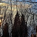 sta per iniziare la ...magia
