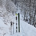 <b>Dopo 10 minuti di portage calzo gli sci. La neve caduta nella notte ricopre ancora le piante; finalmente vedo un autentico paesaggio invernale. </b>