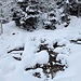 <b>È un sentiero a saliscendi, che non mi pone finora alcuna difficoltà, se non nel superamento dei riali, dove devo evitare di bagnare le pelli di foca. In 35 minuti pervengo al Ri di Stou (1565 m) e poco dopo a Fornace (1580 m). Quest’ultimo toponimo ricorda che in questa zona si sfruttava un affioramento di rocce carbonatiche per produrre la calce. </b>