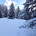 <b>Alle 9:15 arrivo nella piccola radura di Chèrz (1710 m).</b>