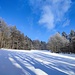 Weiterer Anstieg über eine Lichtung neben dem Skiweg zum Almberg