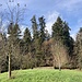 ein neuer "Gipfel" auf Hikr