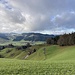 unser Abstiegsweg - rechts dem Waldrand entlang beginnend