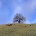 Idylle oberhalb unseres Weges