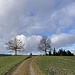 Annäherung an unser Ziel ...