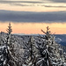Jedoch auch die klare Luft und der schöne Blick werden gelobt, im Süden sind sogar mal wieder die Schweizer Alpen zu sehen! Retour begleitet mich der Kollege ein Stück. Mir fällt auf, wie schwierig es in diesen Zeiten geworden ist, beim Small Talk nicht auf die Themen Politik und Krisen zu kommen ... aber schön, dass man sich grundsätzlich einig ist.