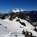 Im Aufstieg durch den Latschengürtel mit Blick zum Guffert