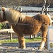 Un cavallo aveglinese con un mantello inverale.