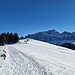 Ein makelloser blauer Himmel