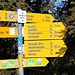 Der Ziele gibt es viele. Mein bisher einziger Besuch erfolgte von Seinfluh an der Schwägalp-Passstraße aus