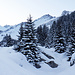 Winter Wunderland.