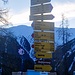 Start um 8:30 im Wiesen Richtung Altein Furgga/ Alteiner Fürggli