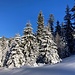 ... der zweiten Passage durch die traumhafte Winterlandschaft