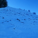 Blick zurück