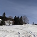 sonniger Aufstieg