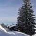 Hörndlealm