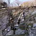 Cava Brusada
